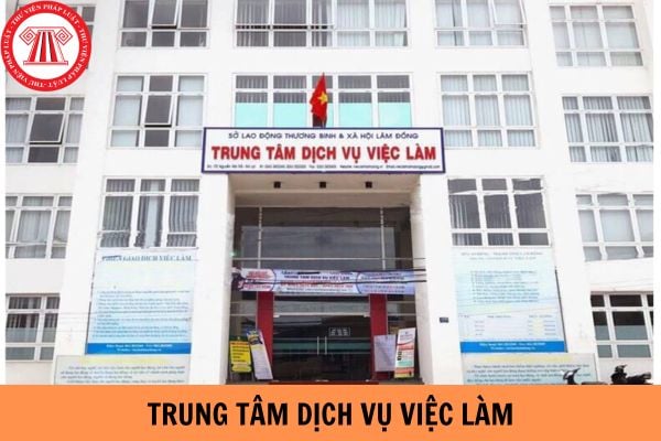 Cơ quan nào thành lập trung tâm dịch vụ việc làm?