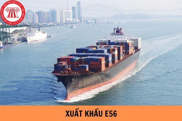  Mã loại hình xuất khẩu E56 được sử dụng trong trường hợp nào?