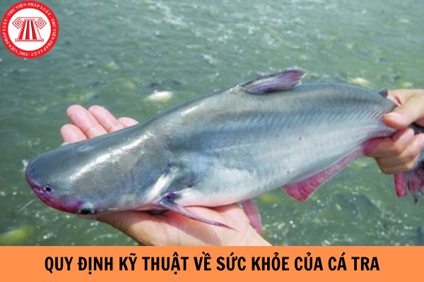 Quy định kỹ thuật về sức khỏe của cá tra như thế nào khi nuôi trong ao tại các cơ sở theo Quy chuẩn kỹ thuật quốc gia QCVN 02-20:2014/BNNPTNT?