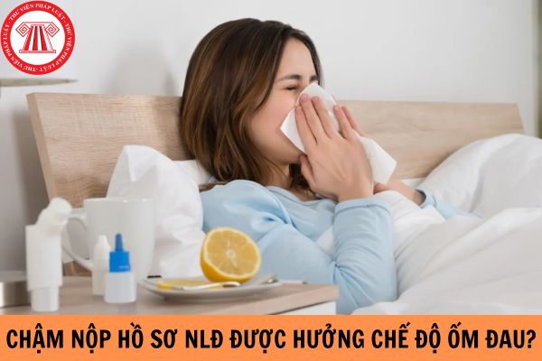 Công ty chậm nộp hồ sơ thì người lao động được hưởng chế độ ốm đau không?