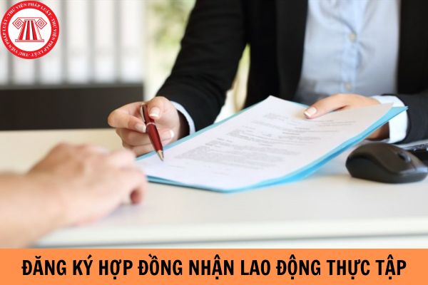 Mẫu đăng ký hợp đồng nhận lao động thực tập đi làm việc ở nước ngoài mới nhất hiện nay?