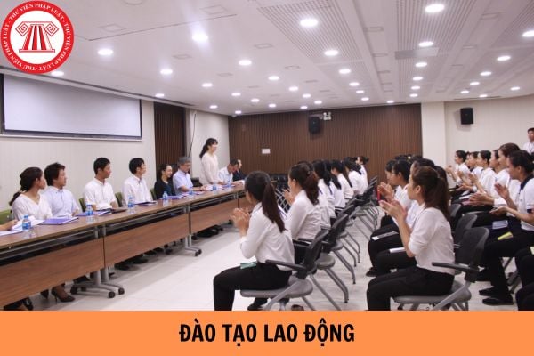 Nội dung về đào tạo lao động có bắt buộc phải ghi vào hợp đồng lao động?