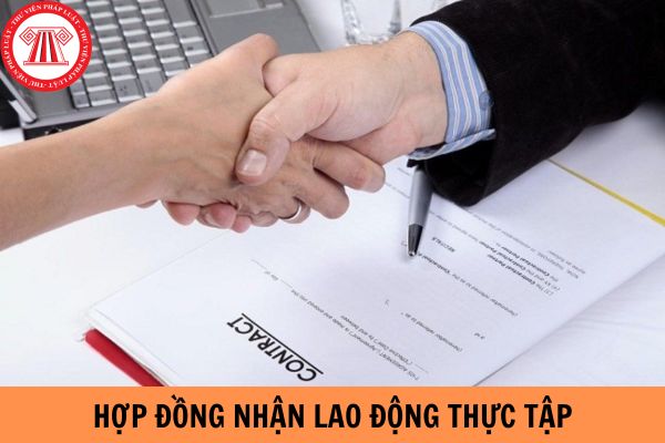 Hợp đồng nhận lao động thực tập đi làm ở nước ngoài phải có những nội dung gì?