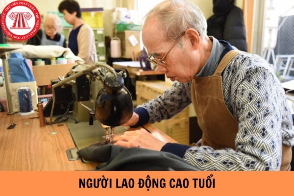 Sử dụng người lao động cao tuổi như thế nào là đúng quy định?