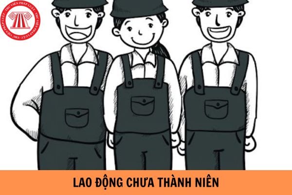 Mẫu sổ theo dõi tình hình sử dụng lao động chưa thành niên mới nhất hiện nay?