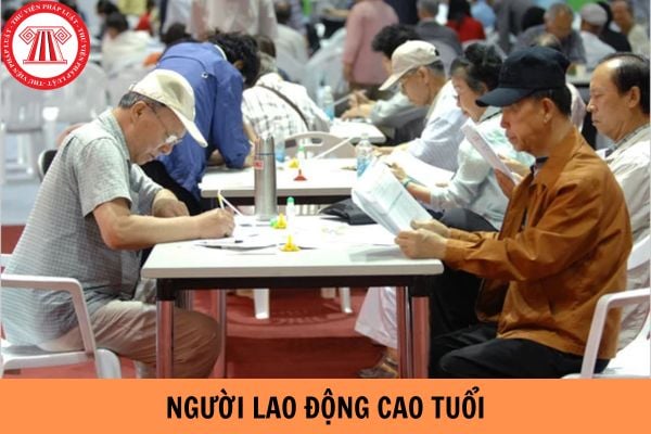 Người lao động cao tuổi là người thuộc những đối tượng nào? Người lao động cao tuổi được phép giao kết hợp đồng vô thời hạn không?