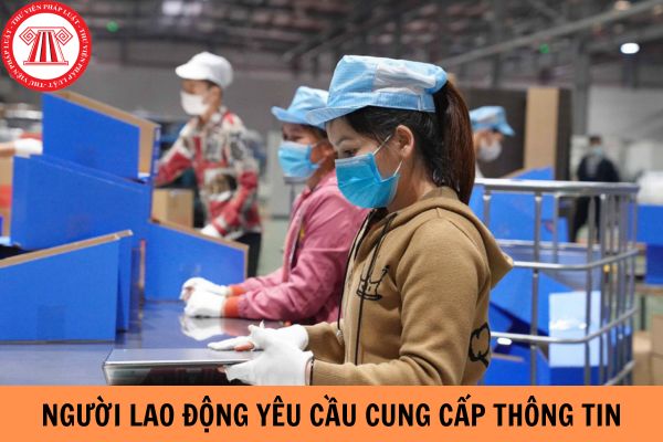 Người lao động được quyền yêu cầu cung cấp thông tin về việc đóng bảo hiểm xã hội của mình không?