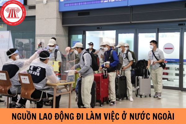 Hỏi đáp Pháp luật