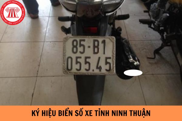 Hỏi đáp pháp luật