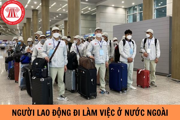 Hỏi đáp Pháp luật
