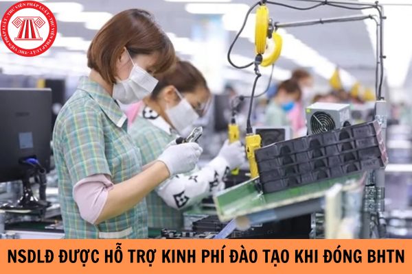 Người sử dụng lao động được hỗ trợ kinh phí đào tạo nghề từ quỹ bảo hiểm thất nghiệp khi đáp ứng điều kiện nào?