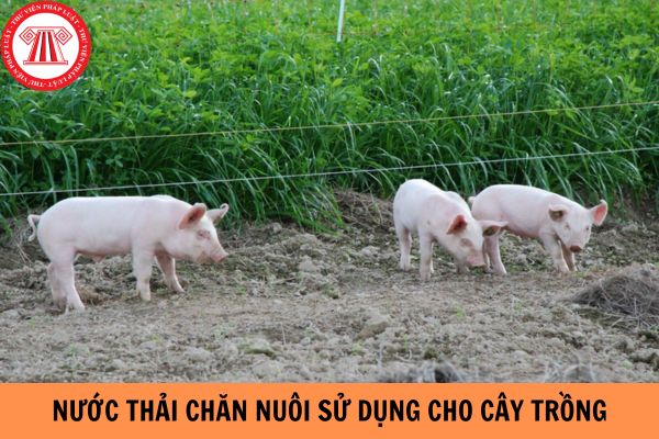 Phương pháp xác định nước thải chăn nuôi sử dụng cho cây trồng theo Quy chuẩn kỹ thuật quốc gia QCVN 01-195:2022/BNNPTNT như thế nào?