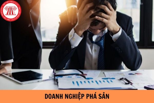 Khi doanh nghiệp phá sản, người sử dụng lao động phải có trách nhiệm gì?