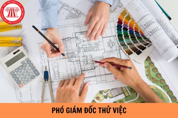 Phó giám đốc thử việc trong bao lâu?