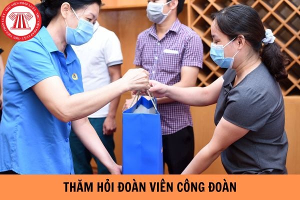 Mẫu phiếu thăm hỏi đoàn viên công đoàn mới nhất hiện nay?