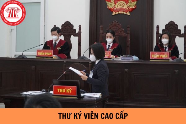 Muốn trở thành thư ký viên cao cấp phải trải qua việc thi nâng ngạch như thế nào?