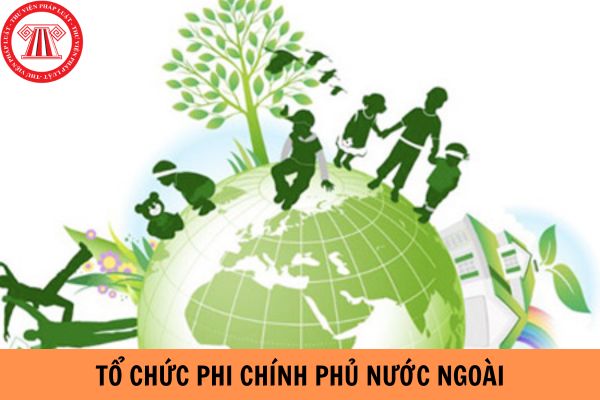 Mẫu Đơn đề nghị cấp Giấy đăng ký hoạt động Văn phòng đại diện tại Việt Nam của tổ chức phi chính phủ nước ngoài mới nhất 2023?