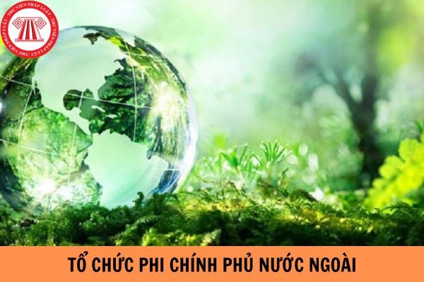 Khi nào thì tổ chức phi chính phủ nước ngoài được quyền tự chấm dứt hoạt động?