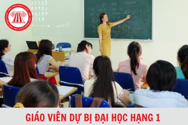 Hệ số lương giáo viên dự bị đại học hạng 1 là bao nhiêu?