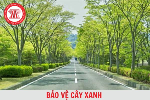 Hỏi đáp Pháp luật