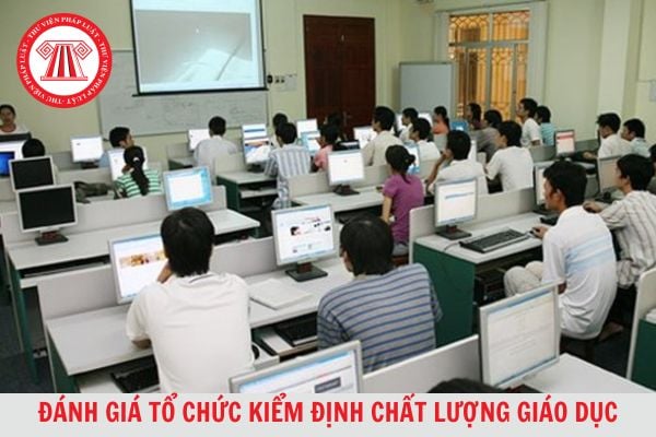 Đánh giá tổ chức kiểm định chất lượng giáo dục đại học và cao đẳng sư phạm được thực hiện theo chu kỳ bao nhiêu năm?