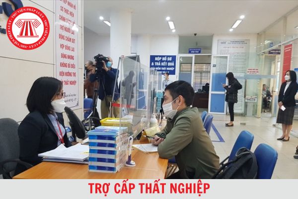 Thử việc có bị chấm dứt hưởng trợ cấp thất nghiệp hay không?