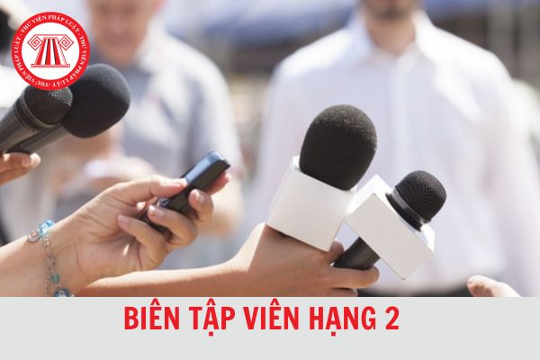 Biên tập viên hạng 2 có cần trình độ ngoại ngữ, tin học không?