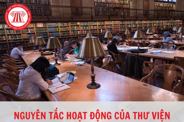 Lấy người sử dụng thư viện làm trung tâm có phải là nguyên tắc hoạt động của thư viện?