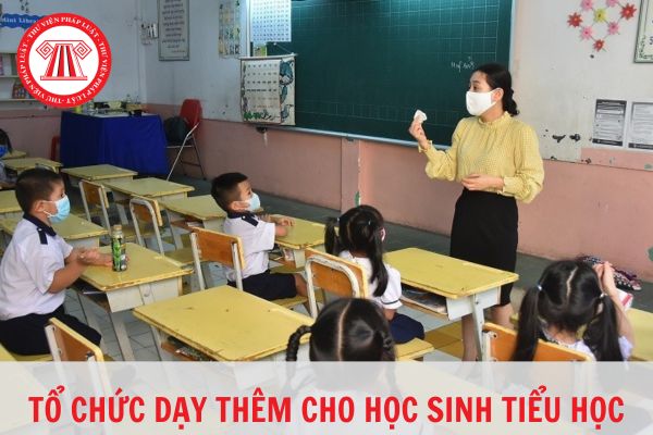 Tổ chức dạy thêm cho học sinh tiểu học tại nhà được không?