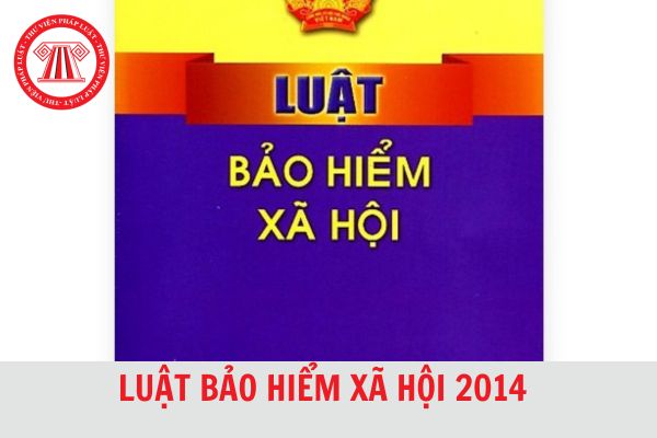 Luật Bảo hiểm xã hội mới nhất 2024 và các văn bản hướng dẫn hiện nay?