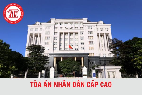 Việt Nam có bao nhiêu Tòa án nhân dân cấp cao? Gồm những tòa nào?