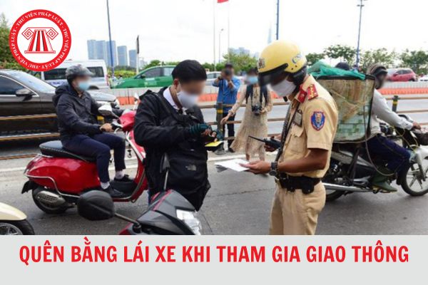 Quên bằng lái xe khi tham gia giao thông bị phạt bao nhiêu tiền?