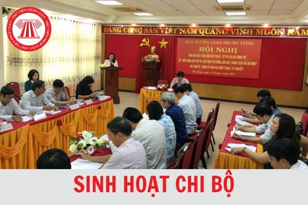 Chi bộ là gì? Sinh hoạt chi bộ gồm những nội dung gì?