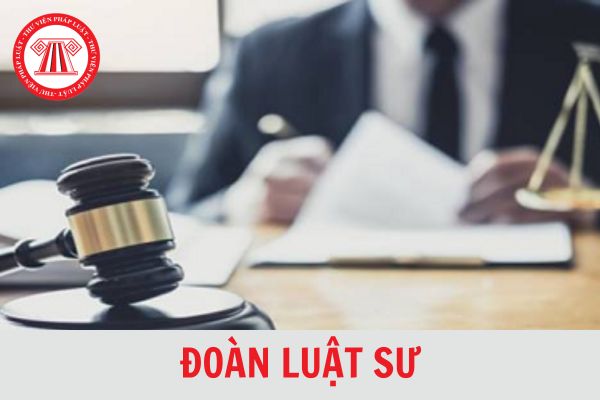 Đoàn Luật sư là gì? Hồ sơ gia nhập Đoàn luật sư mới nhất 2024?