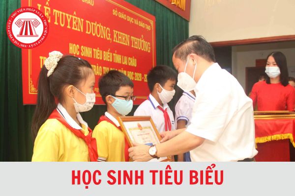 Học sinh tiêu biểu là gì? Tiêu chí nào để đánh giá học sinh tiêu biểu đối với học sinh tiểu học?