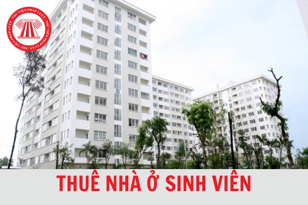 Mẫu đơn đăng ký thuê nhà ở sinh viên mới nhất 2024?