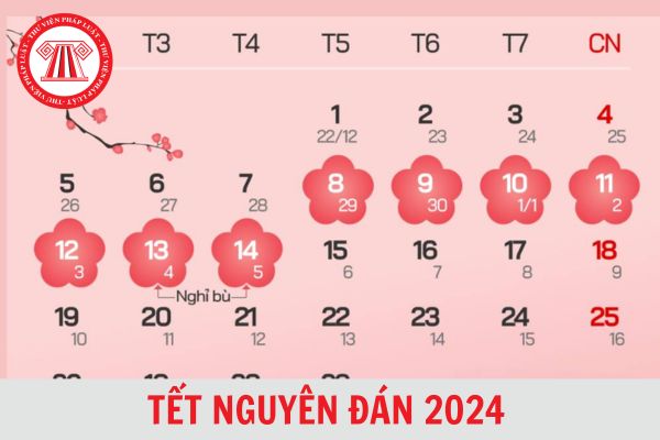 Còn bao nhiêu ngày nữa đến Tết Nguyên đán 2024? Mùng 1 Tết 2024 là ngày mấy dương lịch?