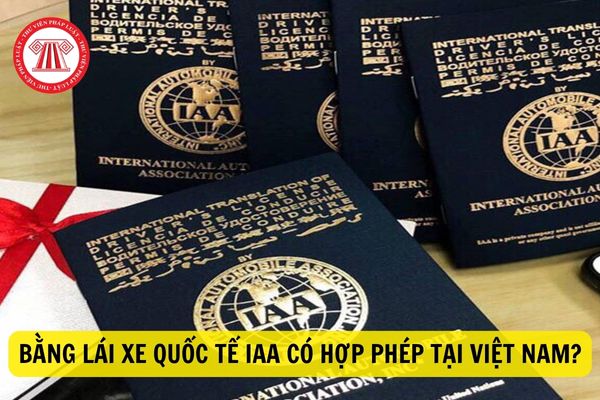 Giấy phép lái xe quốc tế là gì? Mẫu giấy phép lái xe IAA do Mỹ cấp có được sử dụng tại Việt Nam không?