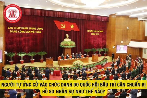 Người tự ứng cử vào chức danh do Quốc hội bầu thì hồ sơ nhân sự bao gồm những gì?