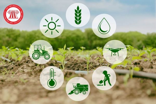 Nhiệm vụ của Bộ Nông nghiệp và phát triển nông thôn trong việc phát triển nông thôn là gì?