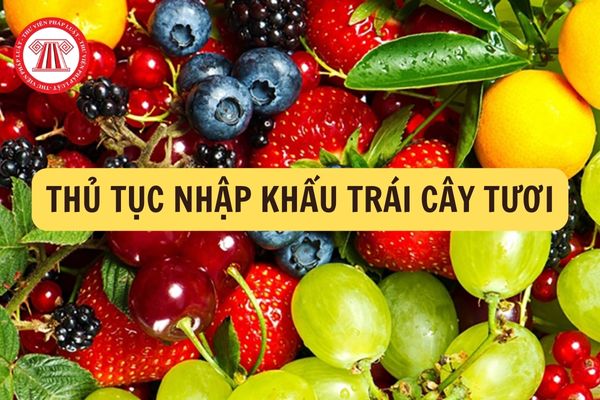 Thủ tục nhập khẩu trái cây tươi vào Việt Nam: Hướng dẫn chi tiết và toàn diện