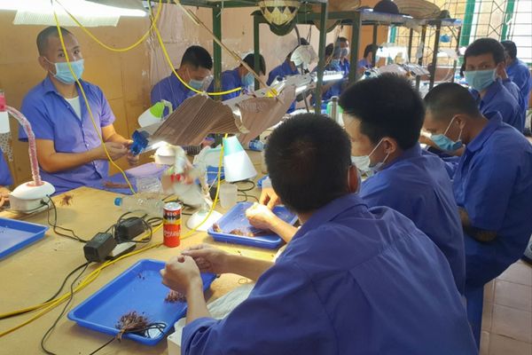 Quản lý sau cai nghiện ma túy trên địa bản tỉnh Bình Định có kinh phí thực hiện như thế nào?