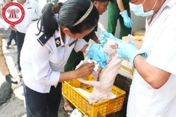 Hỏi đáp pháp luật
