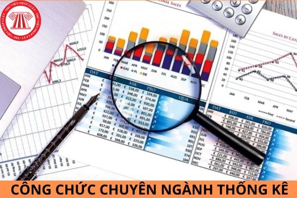 Việc bổ nhiệm và xếp lương vào các ngạch công chức chuyên ngành thống kê theo quy định phải căn cứ vào đâu?