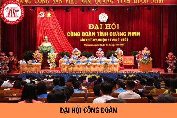 Có phải đại hội công đoàn là cơ quan lãnh đạo cao nhất của mỗi cấp công đoàn không?