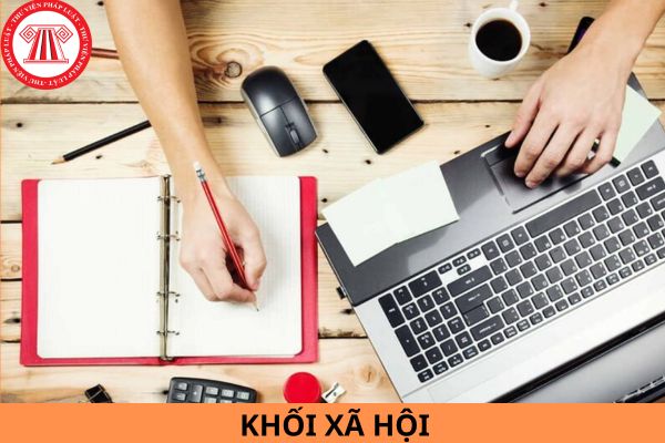 Khối xã hội gồm những môn học nào? Tiêu chuẩn xếp loại học kỳ và xếp loại cả năm học của học sinh được quy định như thế nào?