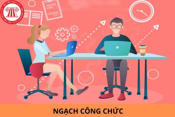 Ngạch công chức là gì? Ngạch công chức có mấy loại?