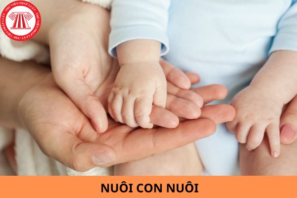 Trường hợp con nuôi có quốc tịch mới thì có mặc nhiên chấm dứt việc nuôi con nuôi không?