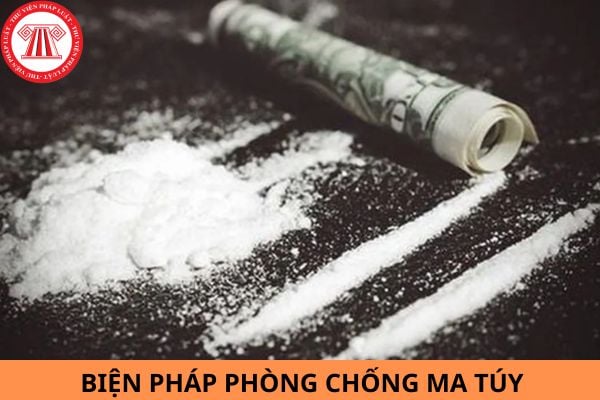 Ma túy có tác hại như thế nào? Biện pháp nào phòng chống ma túy?