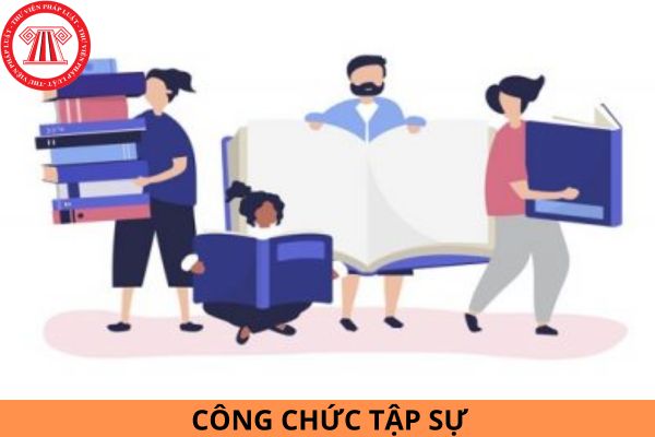 Công chức tập sự không đạt yêu cầu thì có được tập sự tiếp không?